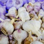 Чеснок посевной — плоды (Allium sativum)