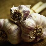 Чеснок посевной — общий вид (Allium sativum)