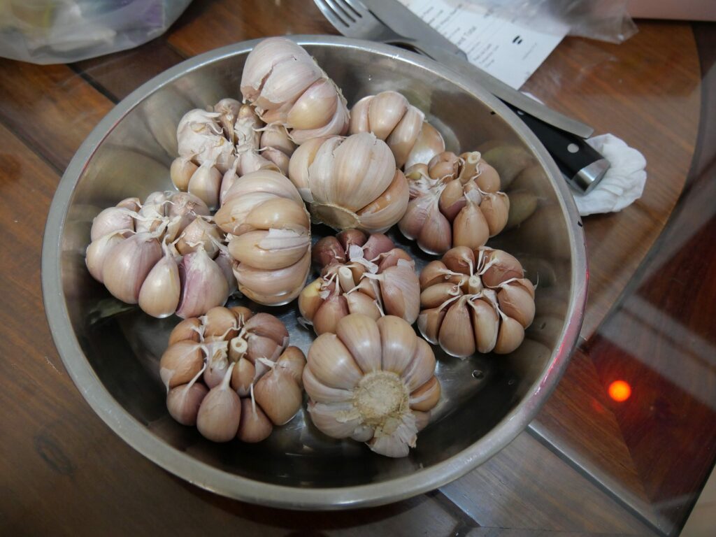 Чеснок посевной — общий вид (Allium sativum)