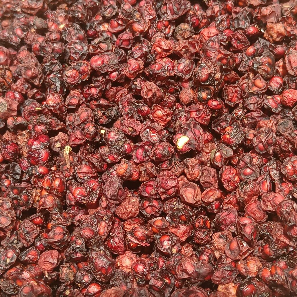 Лимонник китайский — общий вид (Schisandra chinensis)