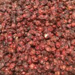 Лимонник китайский — общий вид (Schisandra chinensis)