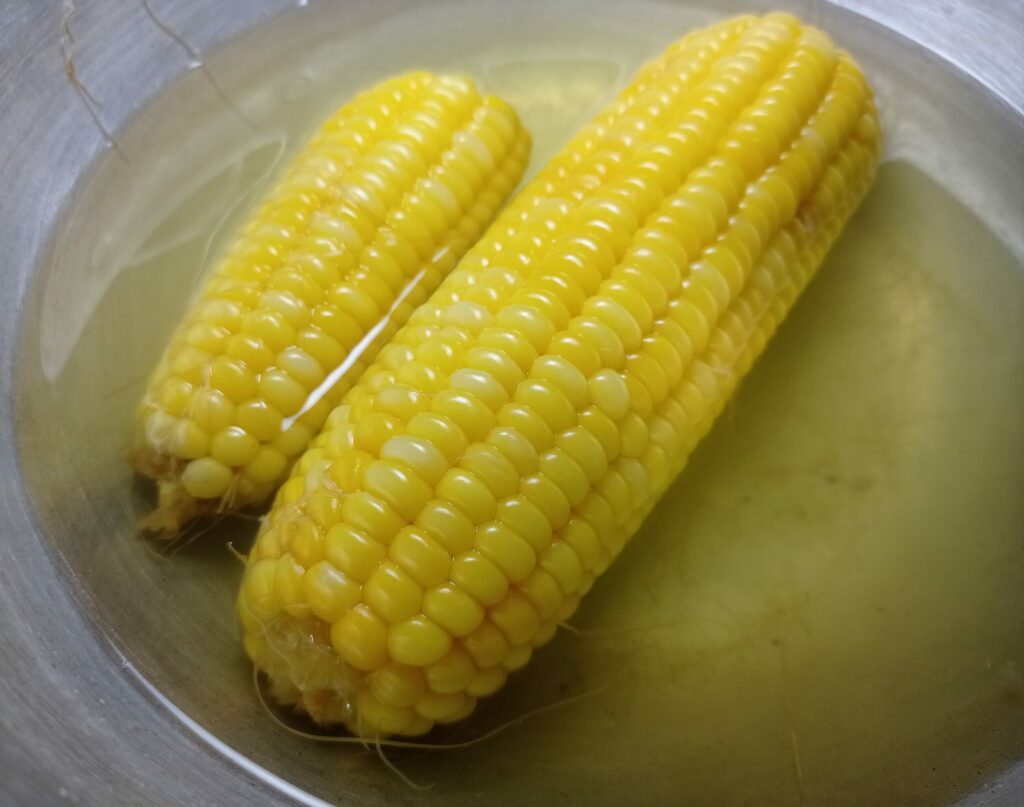 Кукурузные рыльца — общий вид (Zea mays)